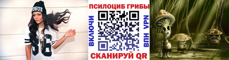 Псилоцибиновые грибы GOLDEN TEACHER как найти Михайловск