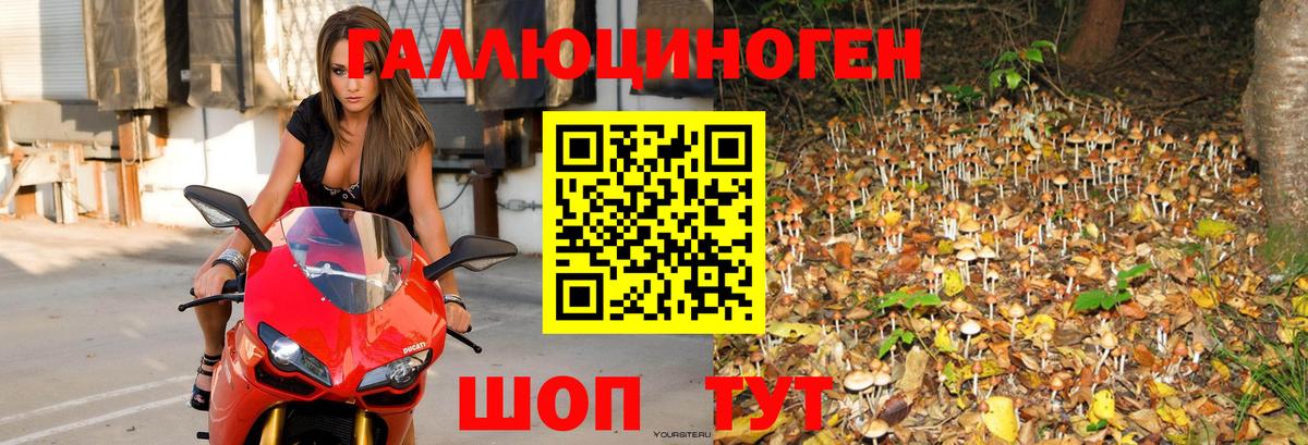 Галлюциногенные грибы мухоморы  Галлюциногенные грибы GOLDEN TEACHER  Вход с VPN  купить наркоту  Михайловск 